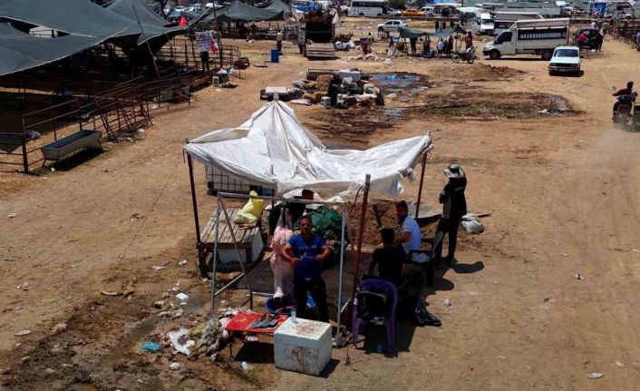 Kurbanlık fiyatları yüzde 40 düştü