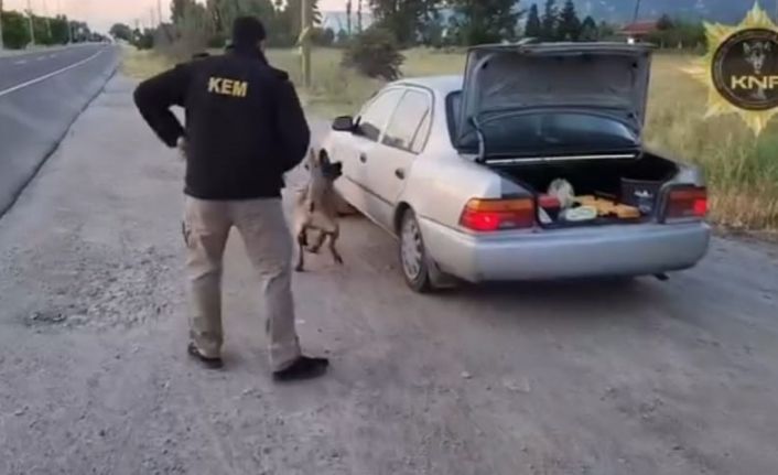 Kütahya’da uyuşturucu operasyonunda Thor’un başarısı: 2 tutuklama