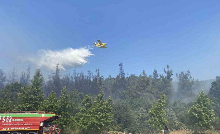 Lapseki’deki orman yangınına havadan ve karadan müdahale ediliyor