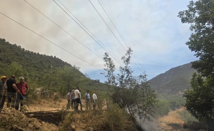 Makilik alanda korkutan yangın