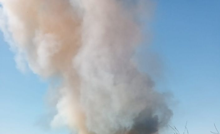 Malkara’da buğday tarlasında yangın: 20 dönüm kül oldu