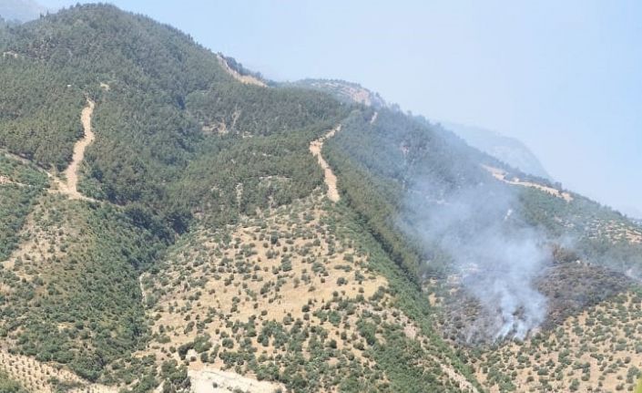 Manisa’da orman yangınına havadan ve karadan müdahale