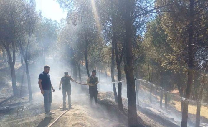 Manisa’daki yangın hızlı müdahale ile söndürüldü