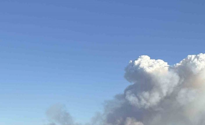 Manisa’nın farklı bir noktasında daha orman yangını çıktı