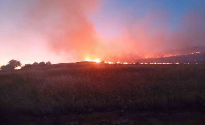 Mardin’de dağlık alanda çıkan yangın söndürüldü