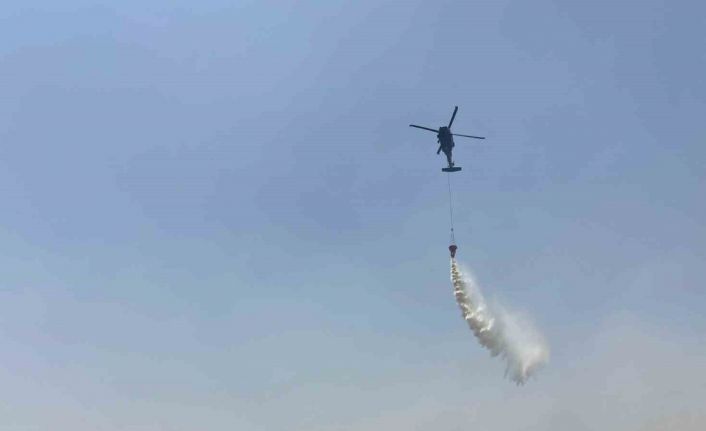 Mardin’de orman yangınına havadan ve karadan müdahale sürüyor