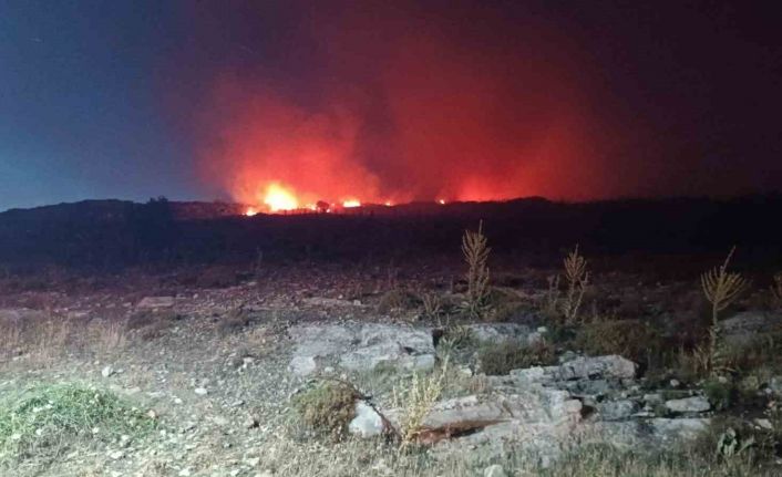 Menemen’de makilik alanda yangın