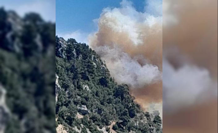 Mersin Bozyazı’da orman yangınına ekipler müdahale ediyor