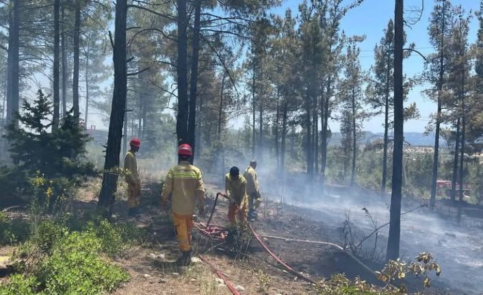 Mersin Gülnar’da orman yangını söndürüldü