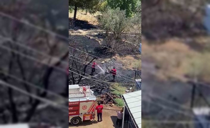 Mersin’de kayısı bahçesinde yangın