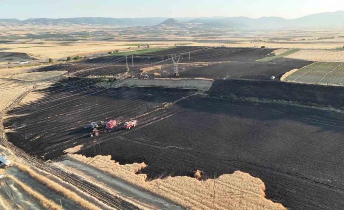 Merzifon’da 80 dönüm tarım arazisi yandı, yanan alan havadan görüntülendi