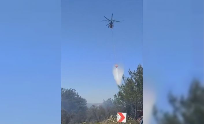 Milas’taki yangına müdahale sürüyor