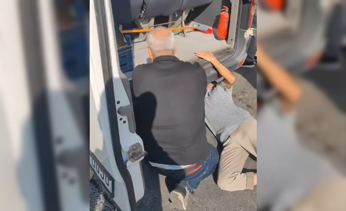 Minibüste yavru kedi kurtarma seferberliği