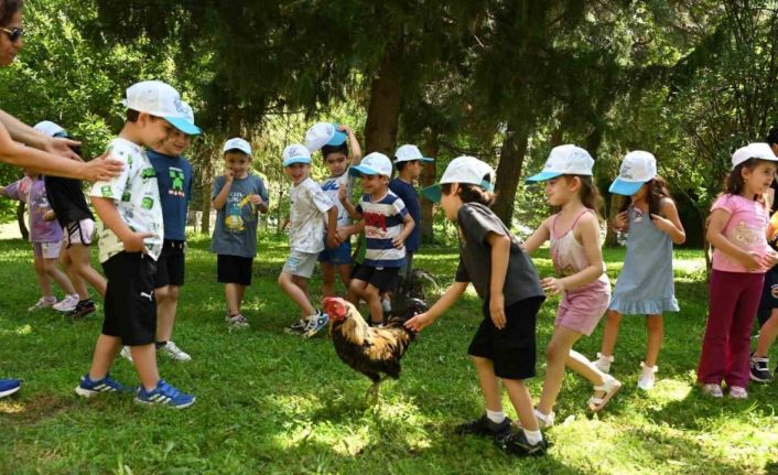 Minik eller Denizli Horozu üretimini öğrendi