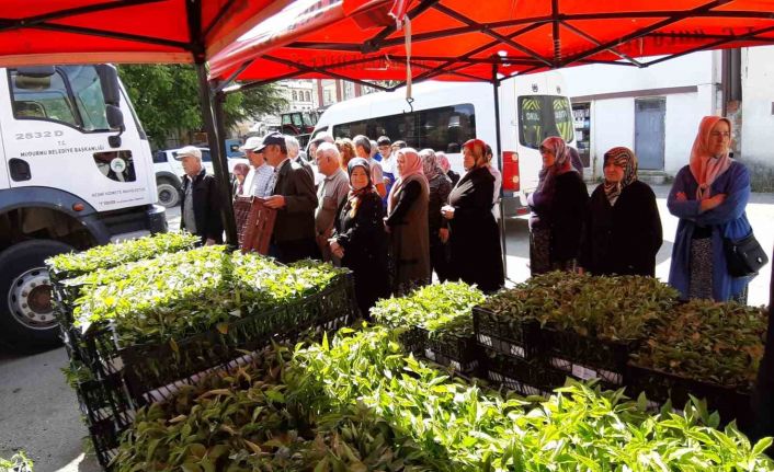 Mudurnu’da 108 bin fide dağıtıldı, çiftçiler akın etti