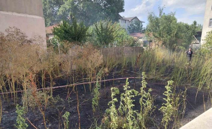 Muratlı’da boş arsada yangın paniği