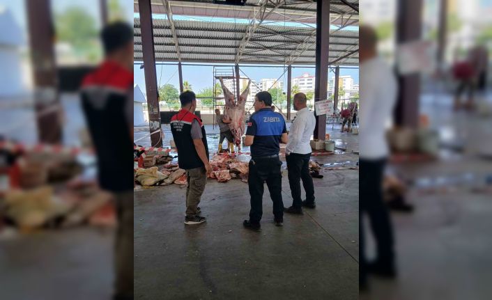 Nazilli İlçe Tarım ve Orman Müdürlüğü ekiplerinden bayramda yoğun mesai