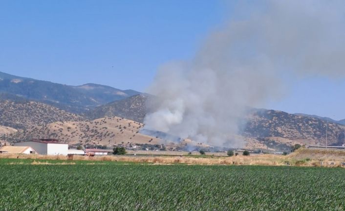 Nazilli’de zirai alan yangını