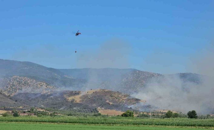 Nazilli’de zirai alan yangınına ekiplerin müdahalesi sürüyor