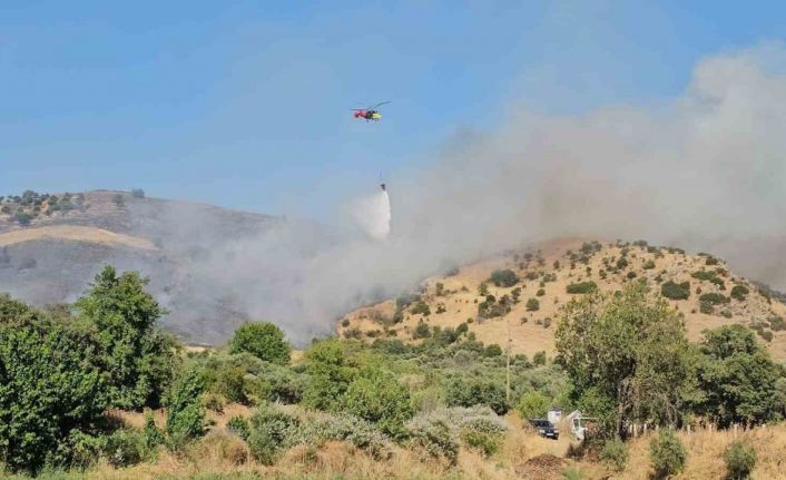 Nazilli’deki zirai alan yangını kontrol altına alındı