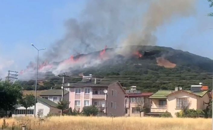Niksar’da orman yangını, ekiplerin müdahalesi sürüyor