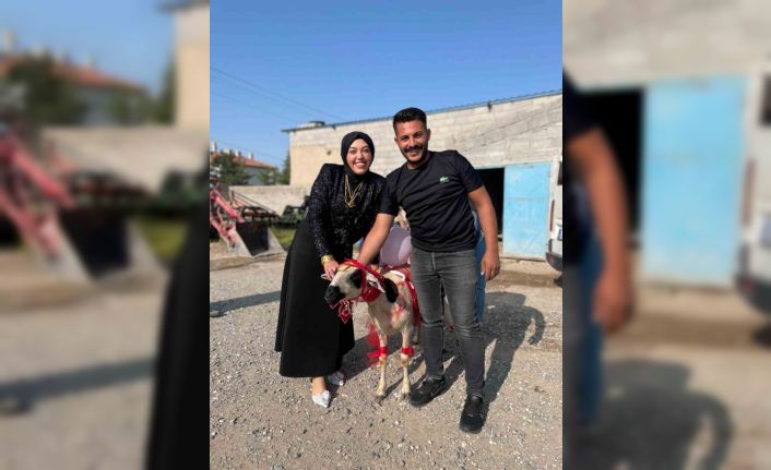Nişanlısına süslediği koyunu hediye etti