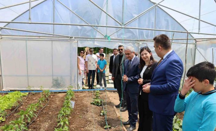 Öğrenciler bu bahçede sebze ve meyve yitiştirecek