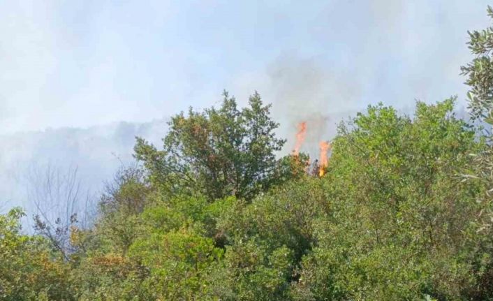 Orhangazi’deki yangına havadan ve karadan müdahale ediliyor