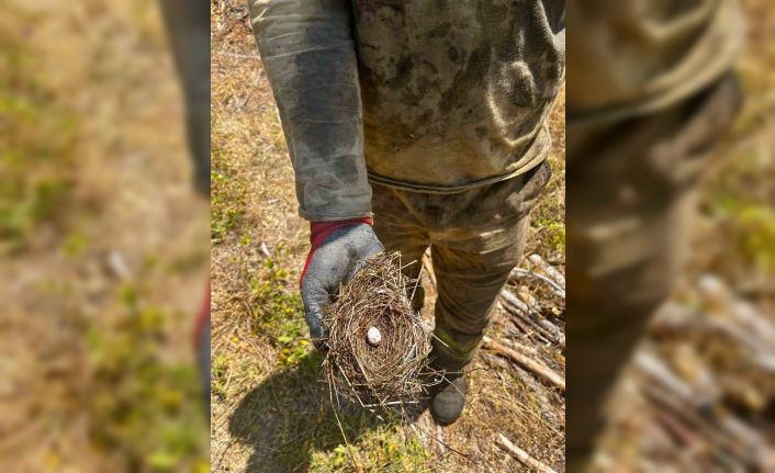 Ormanın sessiz sakinlerine de kalkan oldular: Yangının ortasından kuş yuvası kurtarıldı