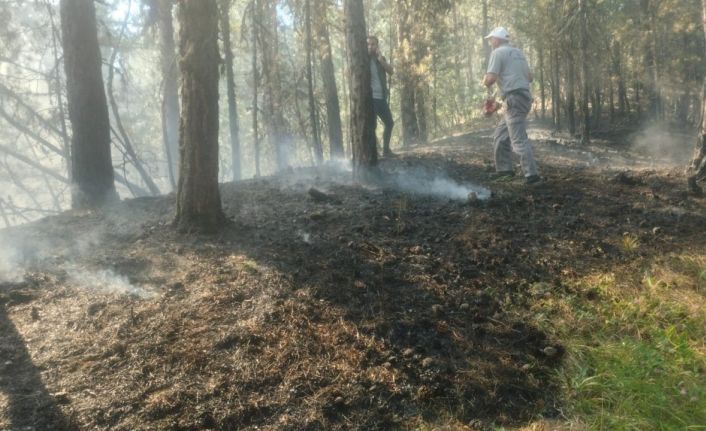 Ormanlık alandaki örtü yangını zamanında müdahaleyle söndürüldü