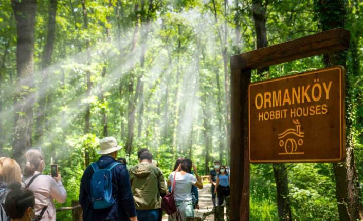 Ormanya’da yaz hazırlıkları tamamlandı