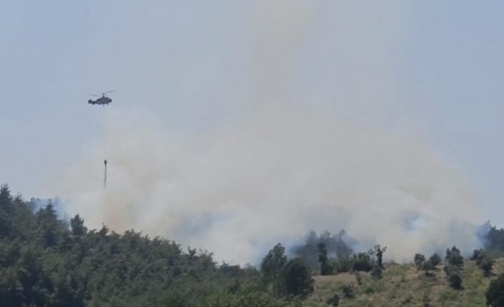 Osmaniye’de çıkan orman yangını söndürüldü