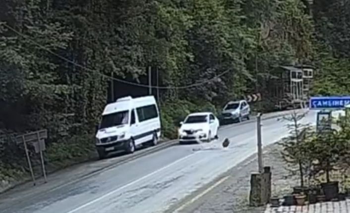 Otomobil düşen kayadan saniyelerle kurtuldu