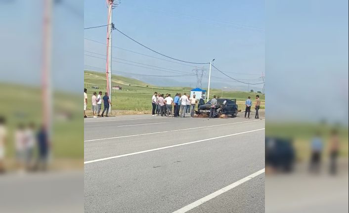 Otomobil sürüye çarptı, onlarca koyun telef oldu