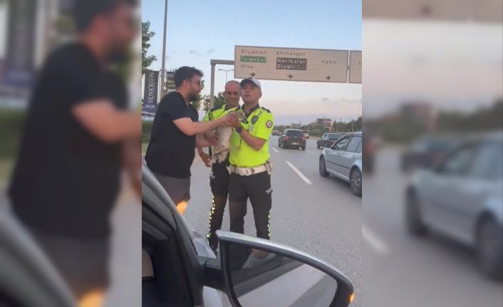 Otoyola atlayan ördek, duyarlı vatandaşlar ve trafik polislerinin müdahalesi ile kurtarıldı