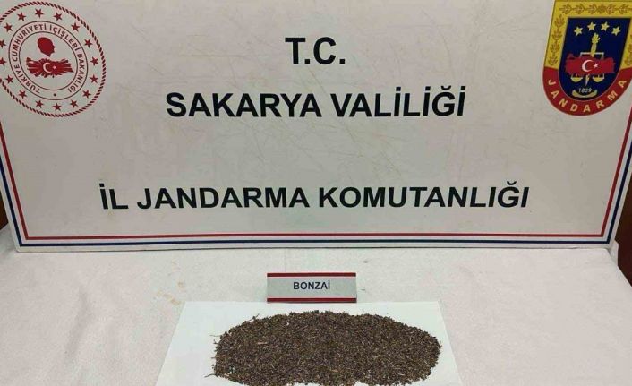 Otoyolda uyuşturucu sevkiyatı jandarmaya takıldı: 1 tutuklama