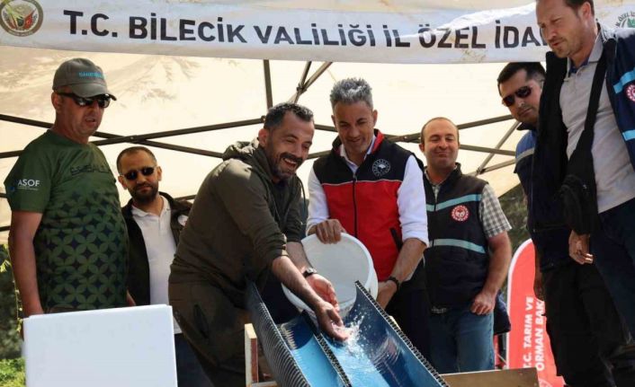 Pelitözü Göleti’ne anaç sazan balığı salındı