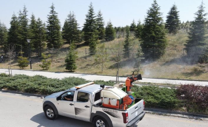 Pursaklar Belediyesi’nden haşerelere karşı mücadele