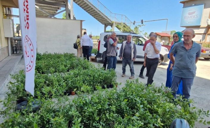 Rize’de 9 bin 500 maviyemiş fidanı üreticilere dağıtıldı