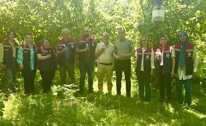 Rize’de kahverengi kokarcaya karşı 50 bin adet samuray doğaya salındı