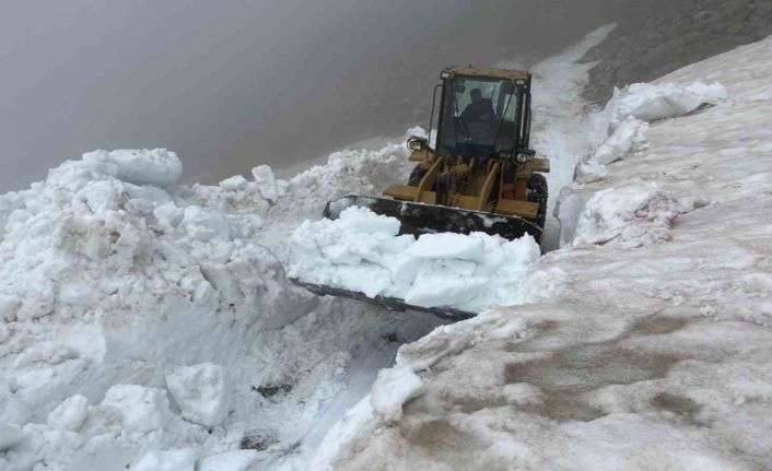 Rize’nin yayla yollarında Haziran’da kar temizliği