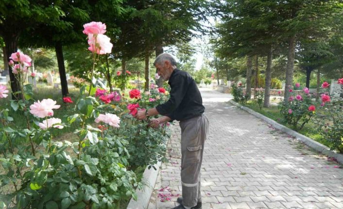 Rüyayla başladı, hayatının görevi oldu: 19 yıldır karşılıksız mezarlık bakımı yapıyor