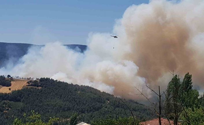 Sakarya’da orman yangını: Bölgeye çok sayıda ekip sevk edildi