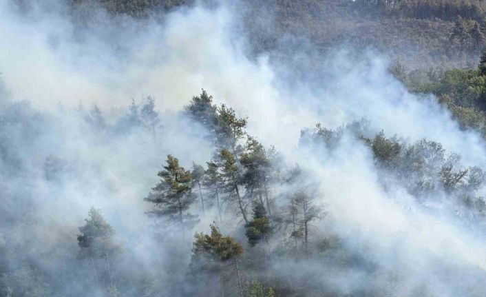 Sakarya’da ormanda yeniden yükselen alevlere havadan ve karadan müdahale edildi