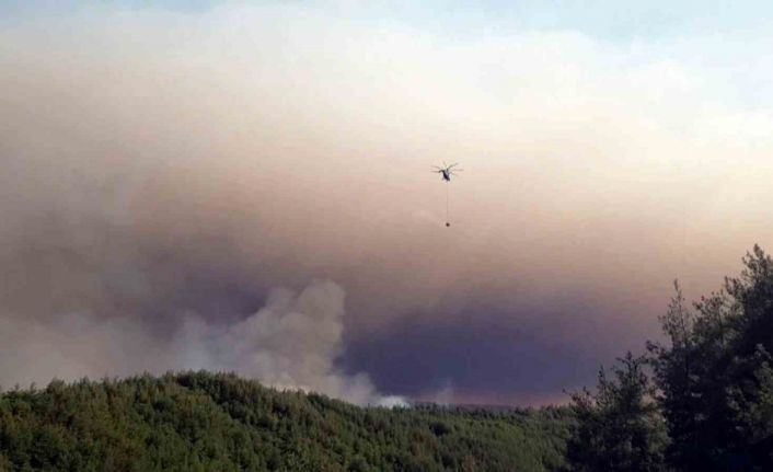 Sakarya’da ormanlık alanda çıkan yangına havadan ve karadan müdahale sürüyor