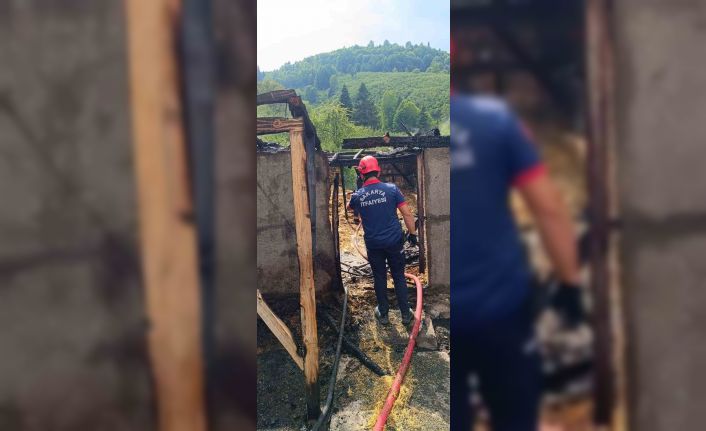Sakarya’da samanlık ve ahırda çıkan yangında 24 civciv telef oldu