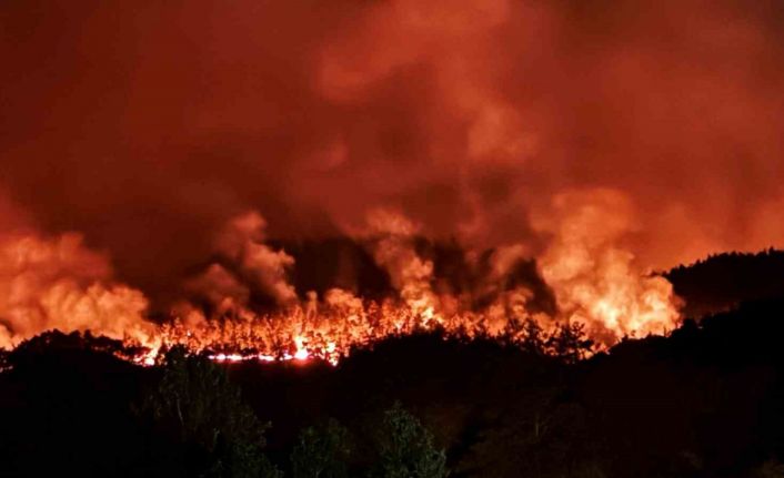 Sakarya’daki orman yangını havadan görüntülendi