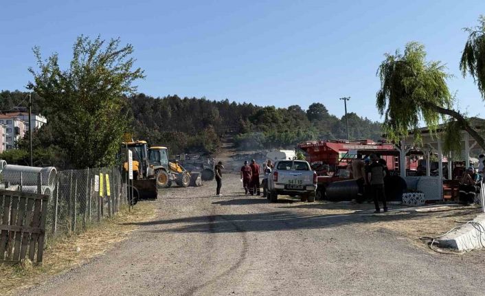 Sakarya’daki orman yangını kontrol altına alındı