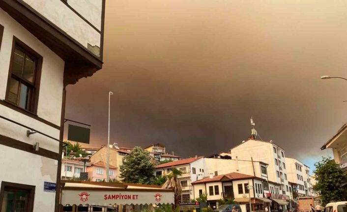 Sakarya’daki orman yangını nedeniyle Bilecik’te 1 köy boşaltılıyor