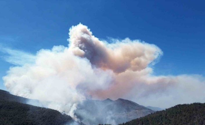 Sakarya’daki orman yangınına 700 personel, 200 araç ve 11 helikopter müdahale ediyor
